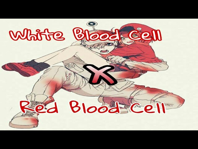 Some wholesome Red Blood Cell x White Blood Cell : r/wholesomeanimemes