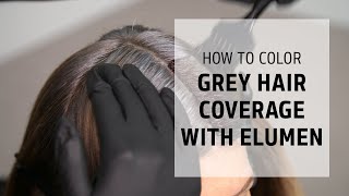 How to Color: Cover Grey Hair with Elumen | Let's Play Elumen Series | Goldwell Education Plus screenshot 3