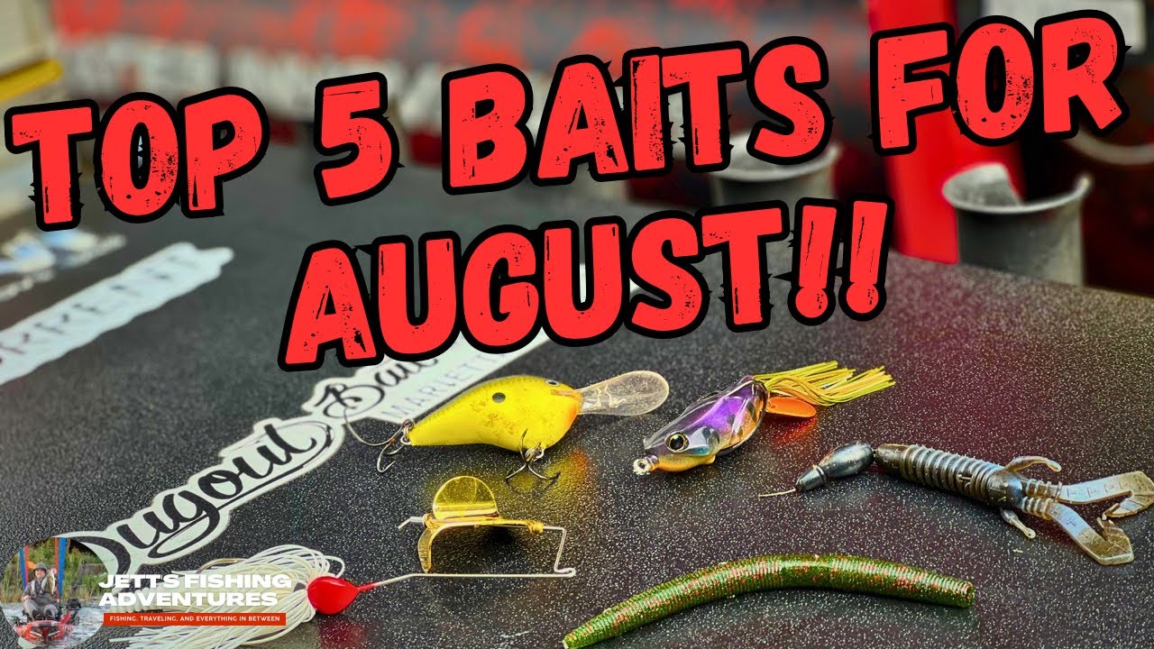 Top 5 Bass Fishing Baits for August!! 