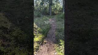 Your Body Doesn't Need Another Workout. It Needs This.  #naturetherapy  #friluftsliv