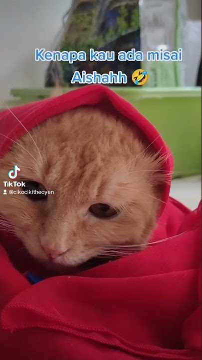 Buka Cadarmu Aishah Oyen Jilbab