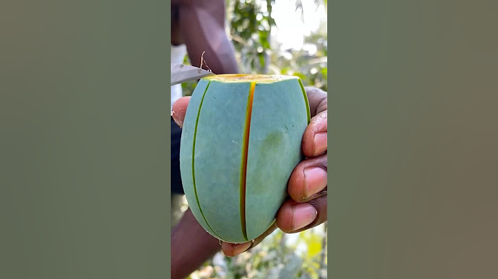 best mango ever eaten 🥭🥭🥭