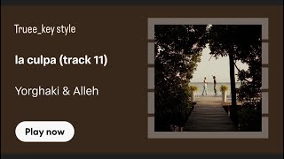 Alleh & Yorghaki - la culpa (track 11) (truee_key style)