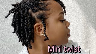 My moisturized mini twist for | dry Natural Hair |