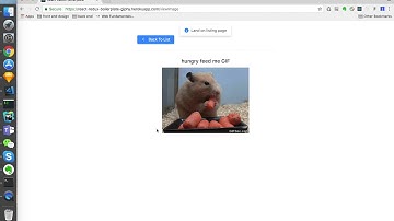 Giphy Search (React Redux Boilerplate)