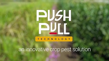 How does Push Pull technology work?