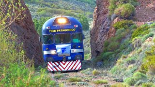 Light Train TER through the Patagonian Steppe with WIND STORM