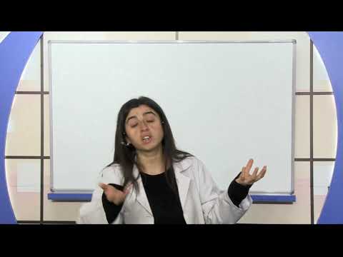 11 Sinif Tarih 1700 1774 Yillari Arasindaki Siyasi Gelismeler Youtube