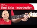 3 Blues Licks in the style of BB King -  Introduction