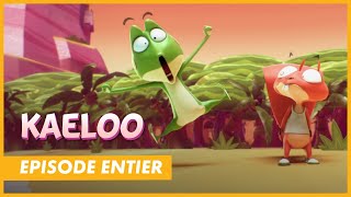 KAELOO - Episode entier ' Et si on jouait aux vacances... naufragés' - CANAL kids