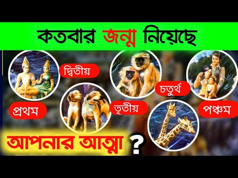 ভিডিও: আপনি কতবার SLP প্র্যাক্সিস নিতে পারেন?