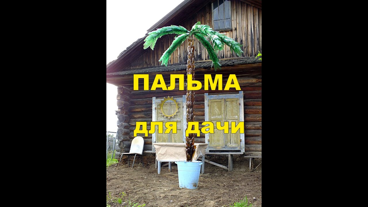 Пальма из пластиковых бутылок