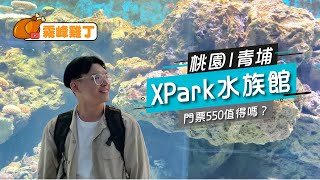 【雞丁日記】桃園青埔 XPark|門票550值不值得? VLOG.02
