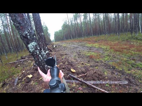 Видео: Долгожданная встреча с глухарями. Первый выстрел по глухарю. Куда попала пуля? 13 серия.