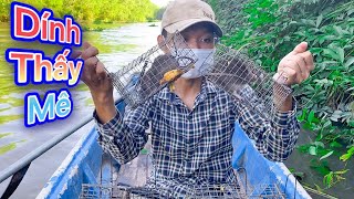 Phần 6   Hướng dẫn đặt bẫy chuột đồng siêu nhạy hot nhất 2022