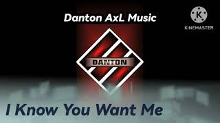 I KNOW YOU WANT ME Pitbull BreakBeat Remix