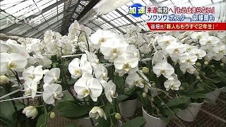 解散へ「もう止まらない」　街の業者にも・・・(14/11/12)
