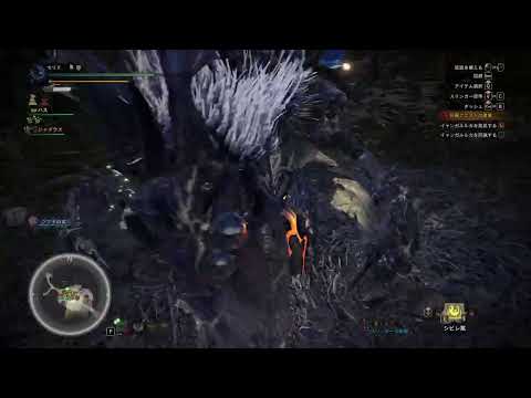 Mhw Ib ソロで導きの地いったり闘技場いったり Pc版 Youtube