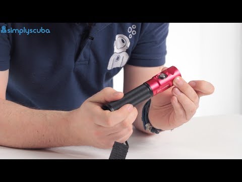 Sealife Sea Dragon Mini 900 Torch Review