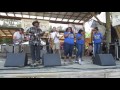 2016 North Mississippi Hill Country Picnic (8) - Rev. John Wilkins &amp; 3D