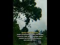 jangan membandingkan hidup anda dengan orang lain,,, kita akan bersinar diwaktunya masing masing