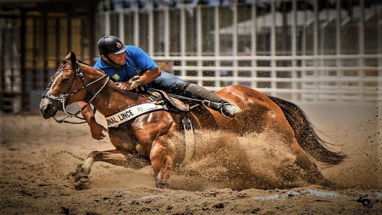 Xand Avião - Forró e Vaquejada