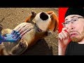 REACTING TO SADDEST ANIMATIONS ON YOUTUBE I ACTUALLY CRIED ...