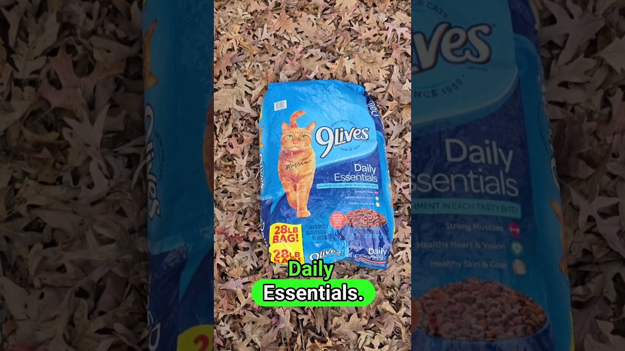 Best Cheap Cat Food for Healthy Outdoor Cats Revealed! | My 9 Lives Daily Essentials Cat Food Review