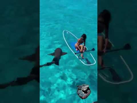 يادرا البحر تيك توك 2022