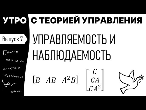 Видео: Что означает наблюдаемость?