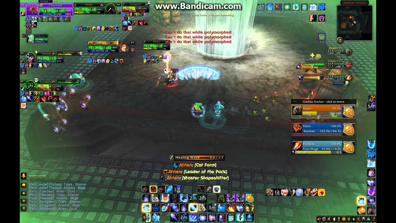 Warrior Mage Druid VS Shaman Feral Mage