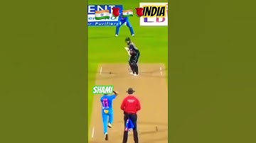 The Wildest YouTube Shorts Trends (2024)