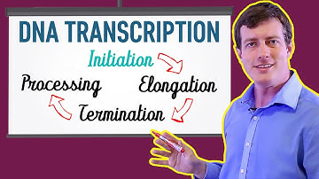DNA Transcription Made EASY | Part 1: Initiation 🐣