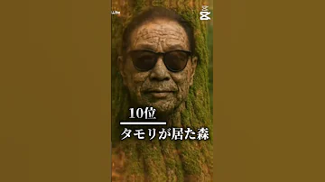 個人的に好きなジャパニーズブレインロットランキング ランキング動画 Shortvideo Funny Video 