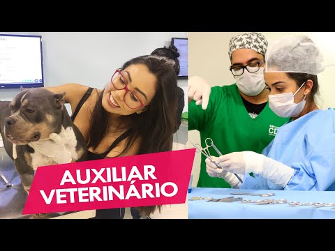 Vídeo: O que é um assistente veterinário?