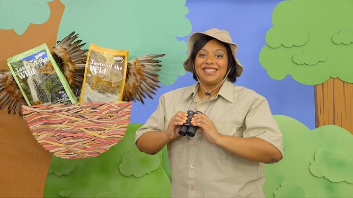 Taste of the Wild Cat Food | Chewy