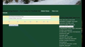 Flexible and Easy CMS Dynamic CSS and embeding systems