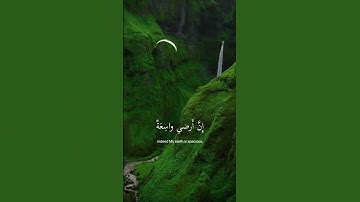احترم القرآن الكريم #explore #اكسبلور #قران_كريم #تيك_توك #راحة_نفسية #قرآن #حالات_واتس #ترند