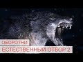 Оборотни. Естественный отбор 2 (Часть 9)