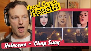 Vocal Coach REACTS - Halocene 'Chop Suey' (System of a Down - Cover)