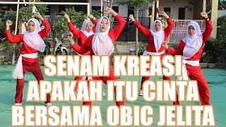 Apakah Itu Cinta DJ BREAK BEAT | Senam Apakah Itu Cinta Bersama Obic Jelita