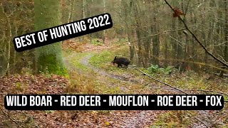 BEST OF DRIVEN HUNT 2022 - Battue - Drevjakt - Monteria - Drijfjacht compilation