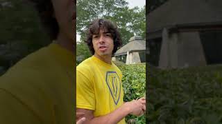 Diego does not remember George 🌳
Diego does not remember George 🌳 Diego does not remember George 🌳