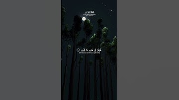 تلاوة خاشعة لسورة النجم بصوت ناصر القطامي#تلاوة_خاشعة #تلاوة_هادئة #تلاوة #قرآن #ناصر_القطامي