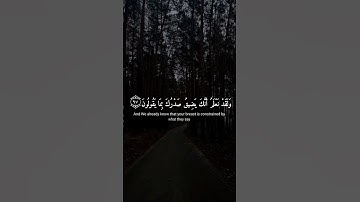 القارئ: إسلام صبحي، سورة الحجر.رقم الايات: ٩٥-٩٩.
