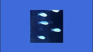 ikan cantik - nil00 (daycore   reverb)