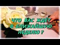 Перспективы Вашей жизни на ближайшую неделю. Таро Расклад