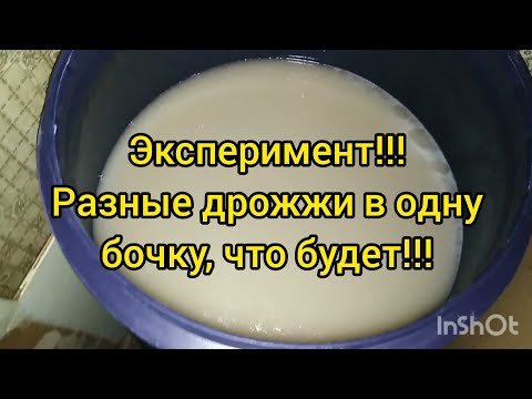 Эксперимент!!! Разные дрожжи в одну бочку, что будет!!!