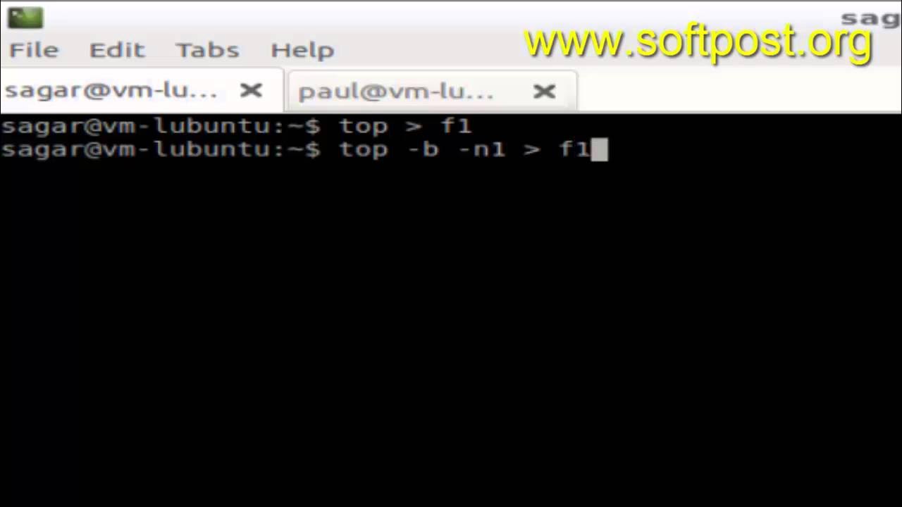 Bash output