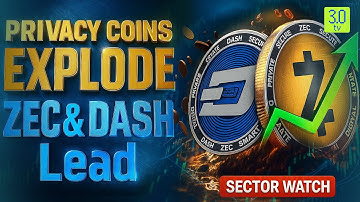 Privacy Renaissance: Why Privacy In Crypto Matters | ZEC, DASH & Privacy Plays |SECTOR WATCH| 3.0 TV